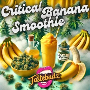 Critical Banana Smoothie Strain | Autoflower Cannabis Seeds U.K | Tastebudz Genetics