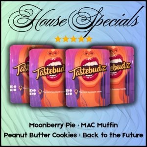 House Specials Feminized Seed Mix cannabis seeds from Tastebudz Genetics – assorted premium feminized strains UK