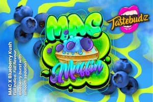 mac muffin strain feminized cannabis seed info featuring logo from tastebudz genetics