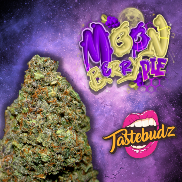 Tastebudz Moonberry Pie Autoflowering cannabis seeds