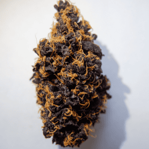 PURPLE PUNCH STRAIN AUTOFLOWER CANNABIS SEEDS UK - BEST PURPLE CANNABIS STRAINS