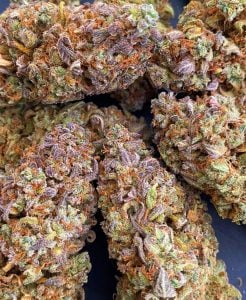Pink Apple Soda Cannabis Seeds – Fruity High THC Autoflower by Tastebudz Genetics Buds