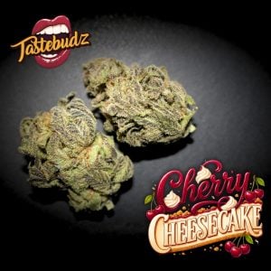 cherry cheesecake seeds | souvenir cannabis seed by Tastebudz Genetics