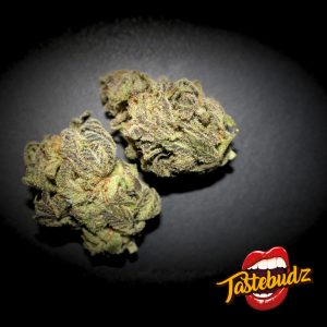 cherry cheesecake seeds autoflower cannabis seeds UK