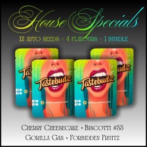 House Specials Auto Mix – autoflower cannabis seed bundle from Tastebudz Genetics
