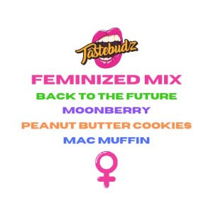 Tastebudz Feminized Mix 4 Pack