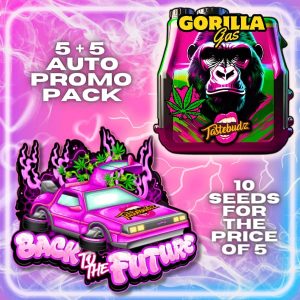 tastebudz auto promo pack including gorilla gas strain and back to the future strain.