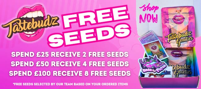 tastebudz seeds promo