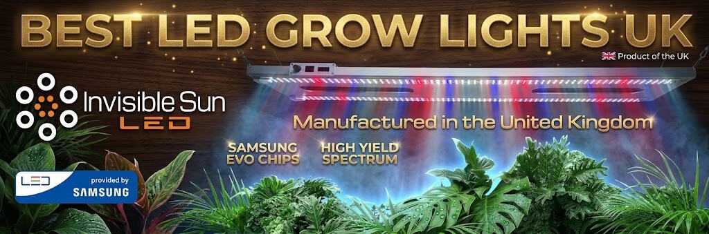 Best LED grow lights UK 2026 sizing guide and invisible sun horticultural lighting review