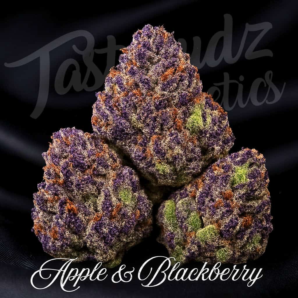 Apple and Blackberry F1 Auto bud photo – Tastebudz Genetics best selling cannabis seeds UK collection image showing purple and green trichome-covered flower.