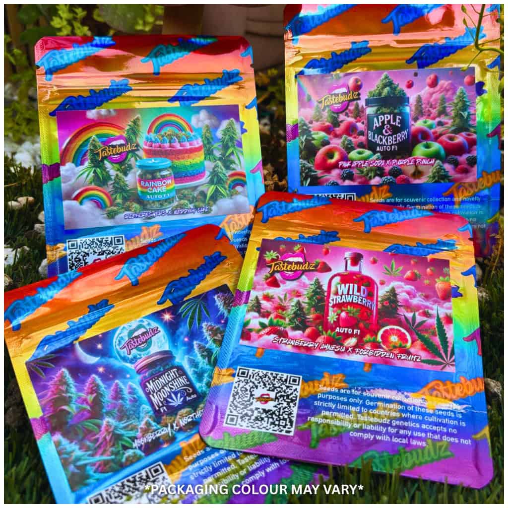 Tastebudz F1 Autoflower Flavour Collection featuring Rainbow Cake, Midnight Moonshine, Wild Strawberry and Apple & Blackberry cannabis seeds
