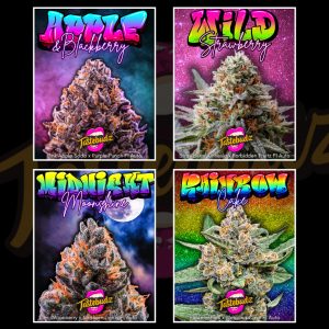 Tastebudz F1 Autoflower Flavour Collection featuring Rainbow Cake, Midnight Moonshine, Wild Strawberry and Apple & Blackberry cannabis seeds