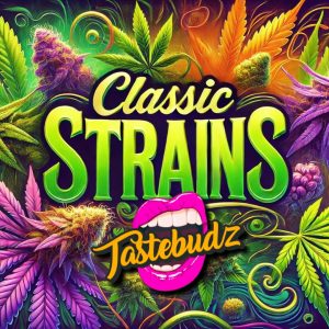 classic strain