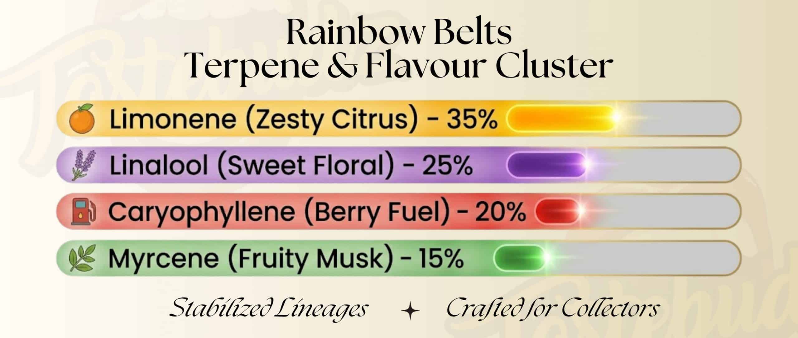Official terpene profile and flavour cluster data for Rainbow Belts cannabis seeds by Tastebudz Genetics. Infographic showing Limonene, Linalool, Caryophyllene, and Myrcene dominance for this pheno-hunted sweet candy and sour citrus cultivar.