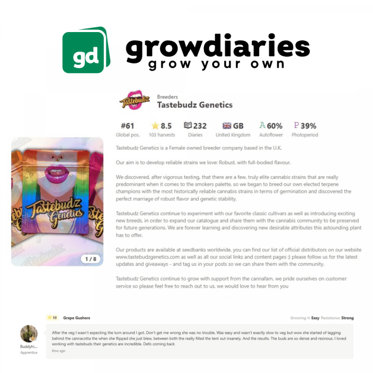 Tastebudz Grow Diaries