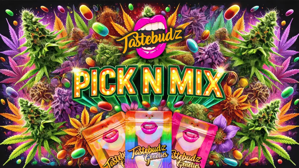 Tastebudz Genetics Pick and Mix Cannabis Seeds UK