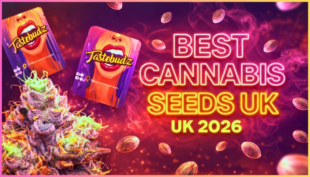 Best cannabis seeds UK 2026 promotional banner featuring neon text, floating cannabis seeds, Tastebudz Genetics packaging, and a frosty cannabis bud with colourful smoke effects.