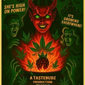 Hellberry OG Halloween cannabis strain packaging – limited edition Tastebudz Genetics