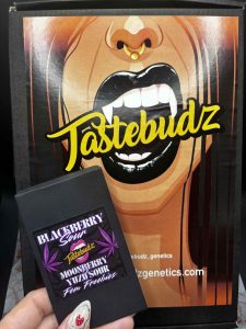Tastebudz Halloween Cannabis Strains Collection – limited edition feminized seeds | best cannabis seeds UK 2026