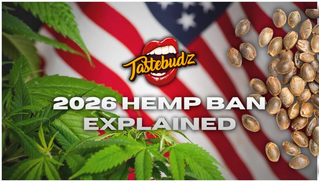 2026 hemp ban cannabis seeds explained by Tastebudz Genetics