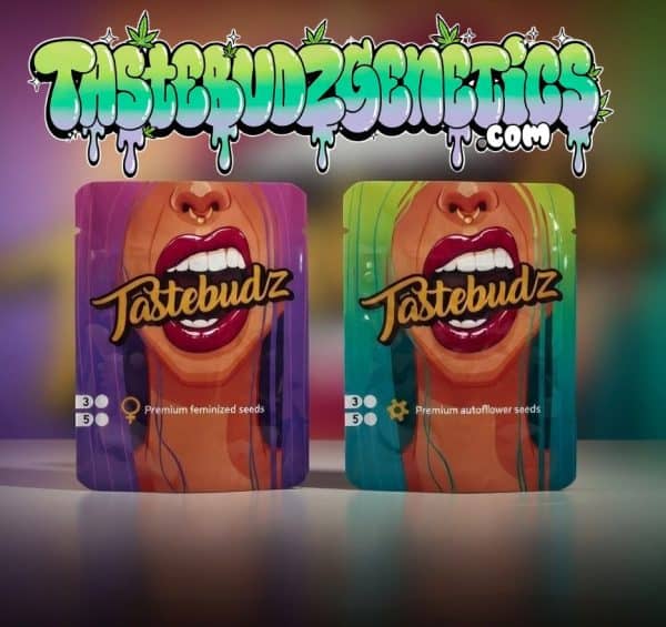 Tastebudz Genetics Cannabis Seeds UK Feminized and Autoflower Seeds Packaging