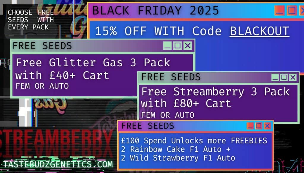 Tastebudz Genetics Black Friday Cannabis Seed Deals 2025 Blackout System banner with glitch design