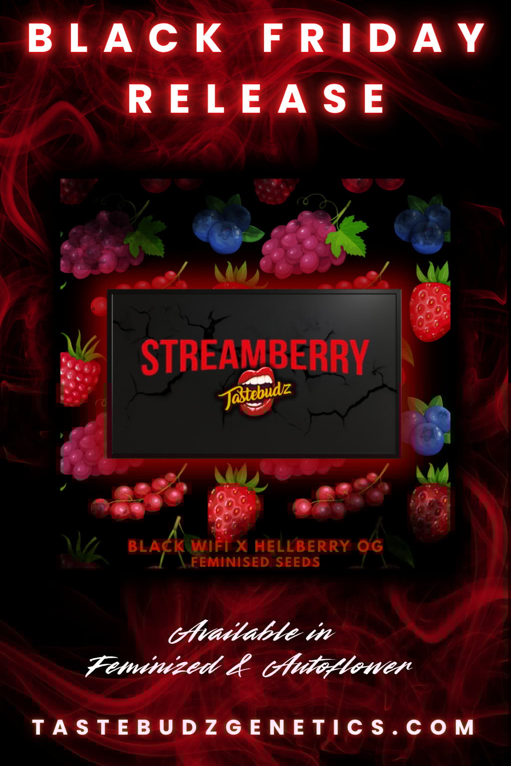Tastebudz Genetics Streamberry Strain Black Friday Promo Seeds | Cannabis Seeds UK