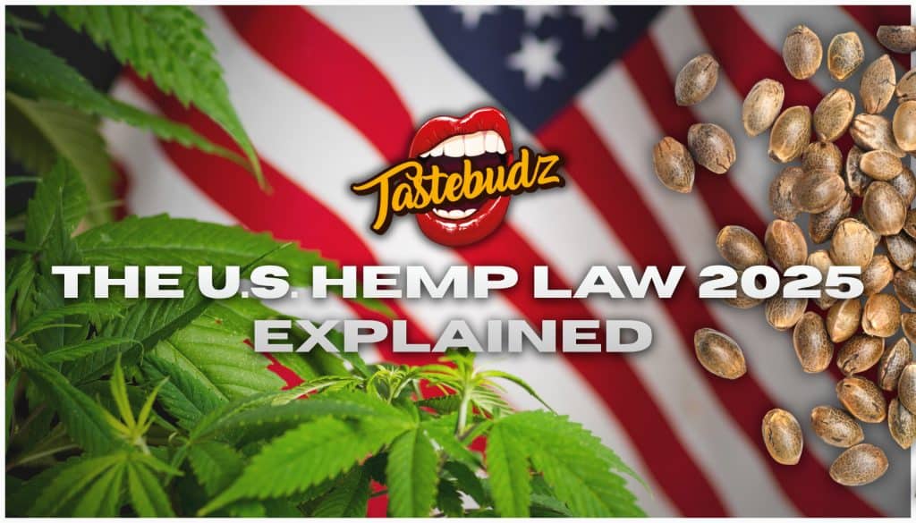 U.S Hemp Law 2025 explained – infographic showing cannabis seeds, total THC rules, and global legality