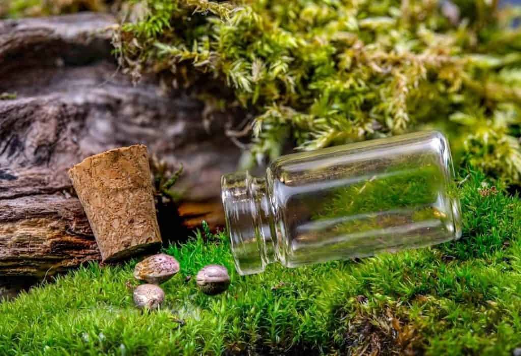 cannabis seeds genetic preservation breeding research