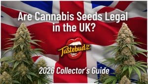weed uk