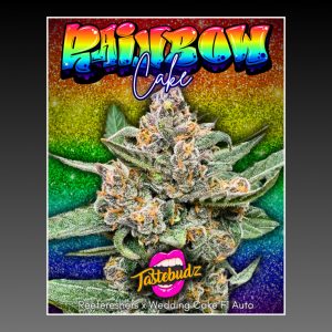 Tastebudz Rainbow Cake F1 Autoflower strain from the limited F1 Autoflower Flavour Collection