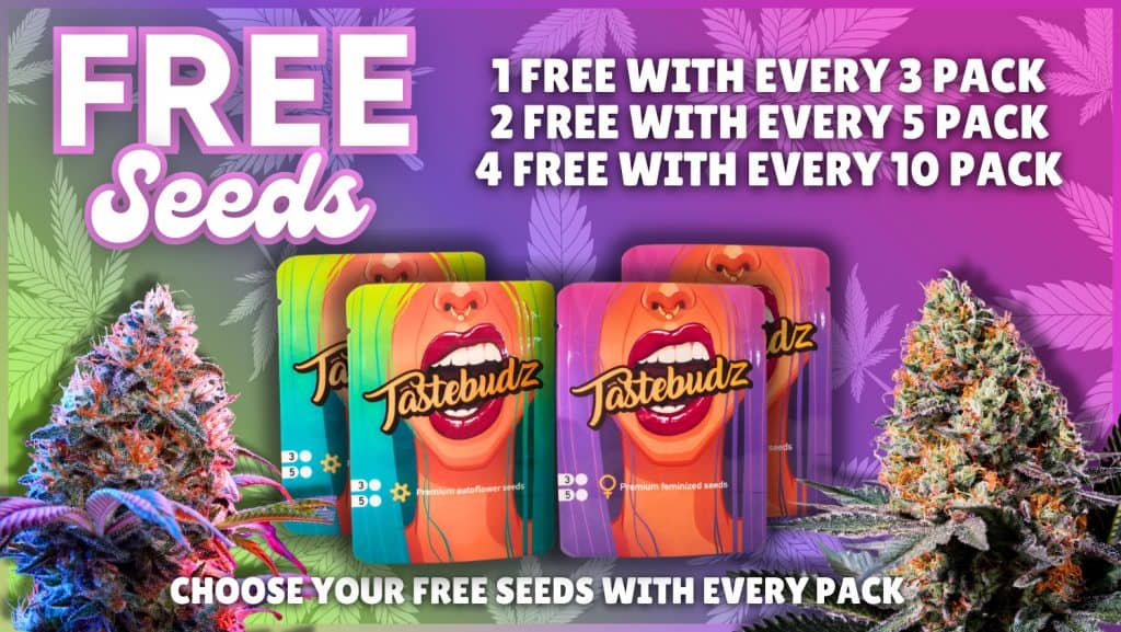 Tastebudz Genetics - Buy cannabis seeds UK collection banner Free Seeds