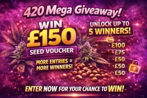 Cannabis seed giveaway win up to £150 voucher unlock 5 winners 420 mega giveaway Tastebudz Genetics
