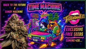 Time Machine cannabis seeds 420 free seeds banner featuring Back to the Future x Candy Machine genetics, exclusive free cannabis seeds UK 420 offer, neon space theme with Tastebudz branding and promotional text for 420 deals and giveaway