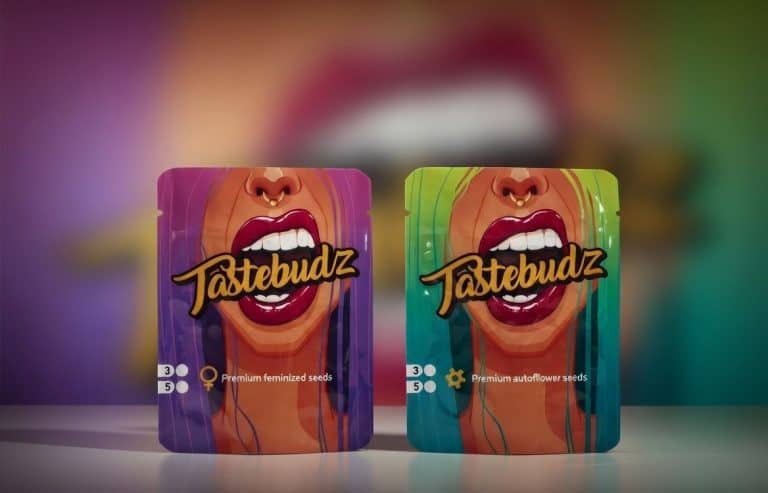 Tastebudz Genetics Packs 2026 Feminized and Autoflower cannabis seeds UK