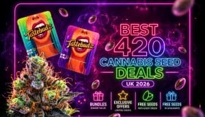 BEST 420 CANNABIS SEED DEALS UK 2026 neon banner with Tastebudz Genetics seed packs, glowing pink and purple smoke background, floating cannabis seeds, and premium frosty cannabis bud, highlighting 420 cannabis seed deals and bundles in the UK