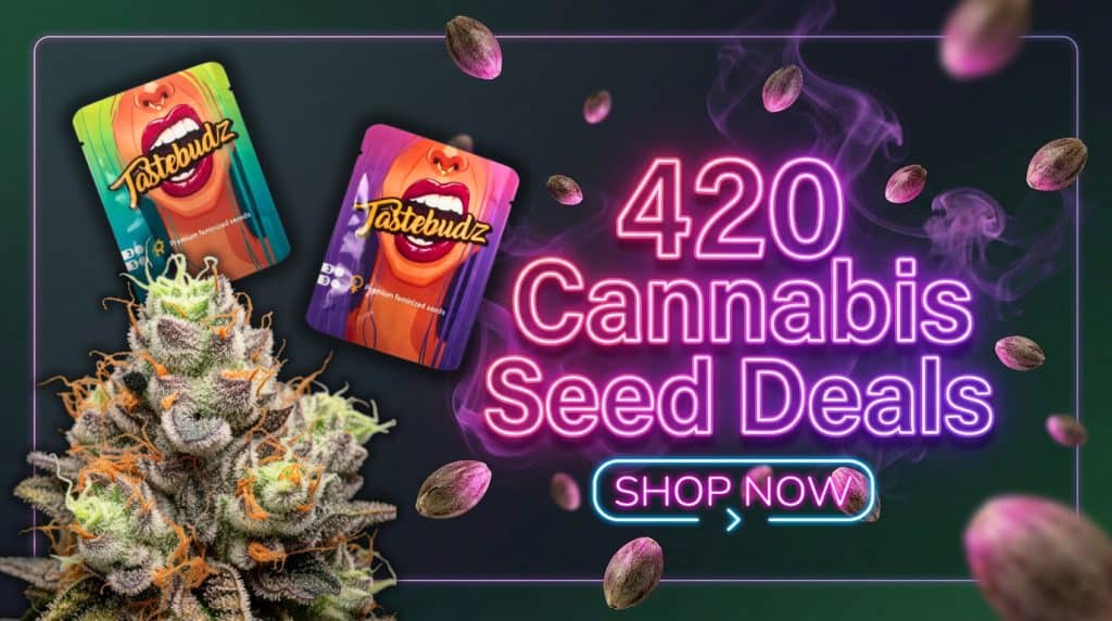 420 cannabis seed deals UK | Premium feminized and autoflower free cannabis seeds UK from Tastebudz Genetics SHOP NOW