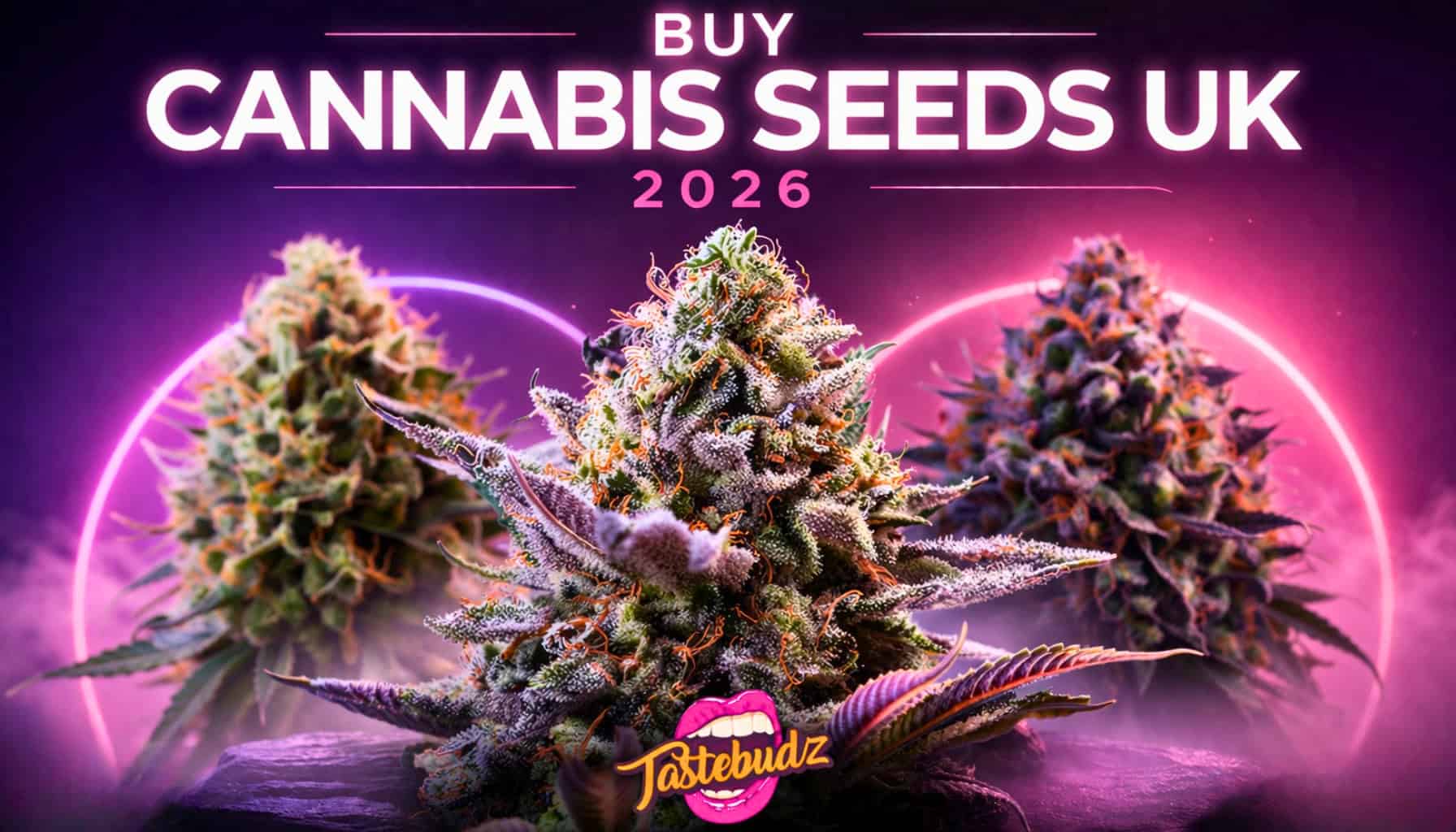 Buy Cannabis Seeds UK 2026