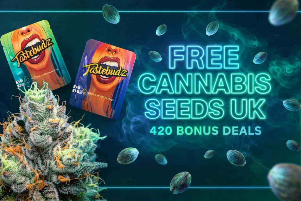free cannabis seeds UK 420 deals bonus seeds Tastebudz Genetics