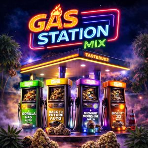 Gas Station Mix cannabis seed bundle by Tastebudz Genetics featuring Gorilla Gas Auto, Back to the Future Auto, Midnight Moonshine and Biscotti 33 Auto displayed on neon-lit fuel pumps with smoke and cannabis buds, 420 promotion artwork