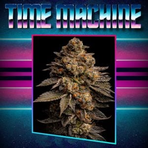 TIME MACHINE EXCLUSIVE FREEBIES