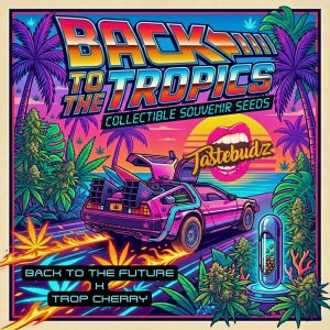 Vibrant retro 80s illustration for Tastebudz Genetics Back To The Tropics seeds, featuring a time-travel car on a tropical beach, highlighting the Back To The Future x Trop Cherry genetics of the Back To The Tropics auto strain.
