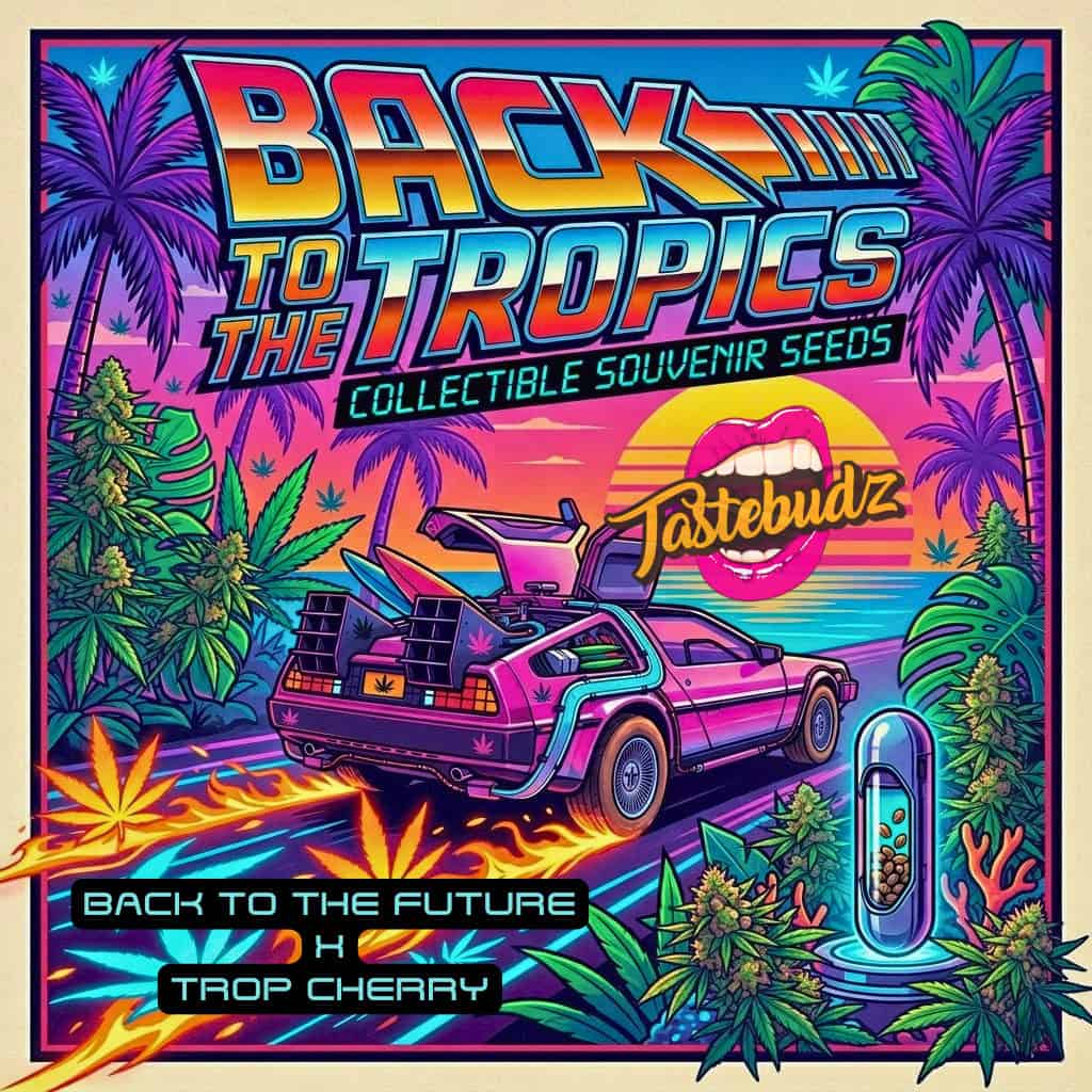 Vibrant retro 80s illustration for Tastebudz Genetics Back To The Tropics seeds, featuring a time-travel car on a tropical beach, highlighting the Back To The Future x Trop Cherry genetics of the Back To The Tropics auto strain.