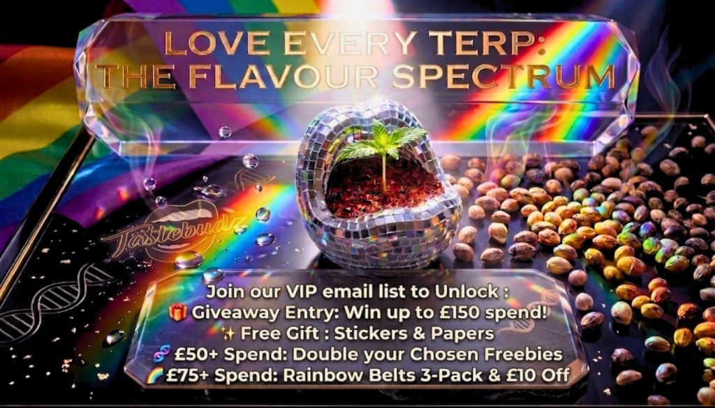 TASTEBUDZ SUBSCRIBER VIP PROMO BANNER