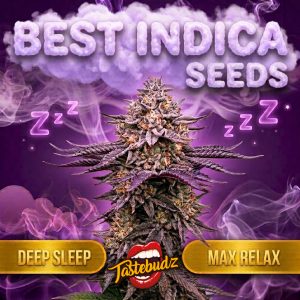 A vibrant purple cannabis bud surrounded by neon Zzz sleep symbols and purple smoke, highlighting the Tastebudz Genetics Sweet Dreams bundle which features the best indica cannabis seeds for deep sleep and max relaxation.