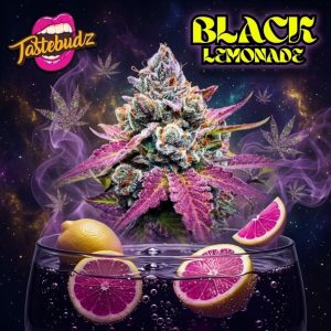 Creative graphic design artwork for the Black Lemonade seeds cannabis strain by Tastebudz Genetics, showcasing a frosty purple cola above a glass of dark purple lemonade with sliced pink lemons, set against a cosmic starry background with glowing purple smoke.