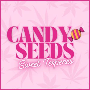 Candy Cannabis Seeds UK