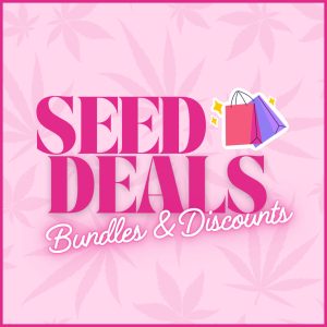 Promotions and Offers