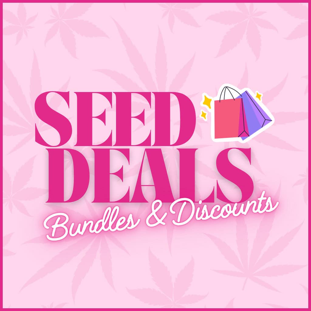 Cannabis Seed Promotions UK