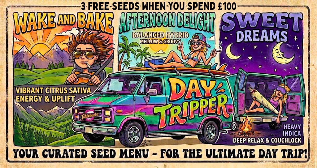 Day Tripper 3-Seed Curated Menu